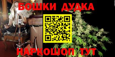 СК Дубна