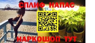СК Дубна