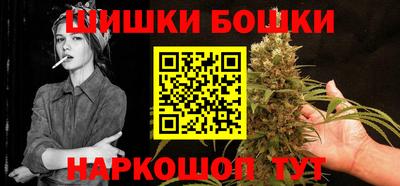 СК Дубна