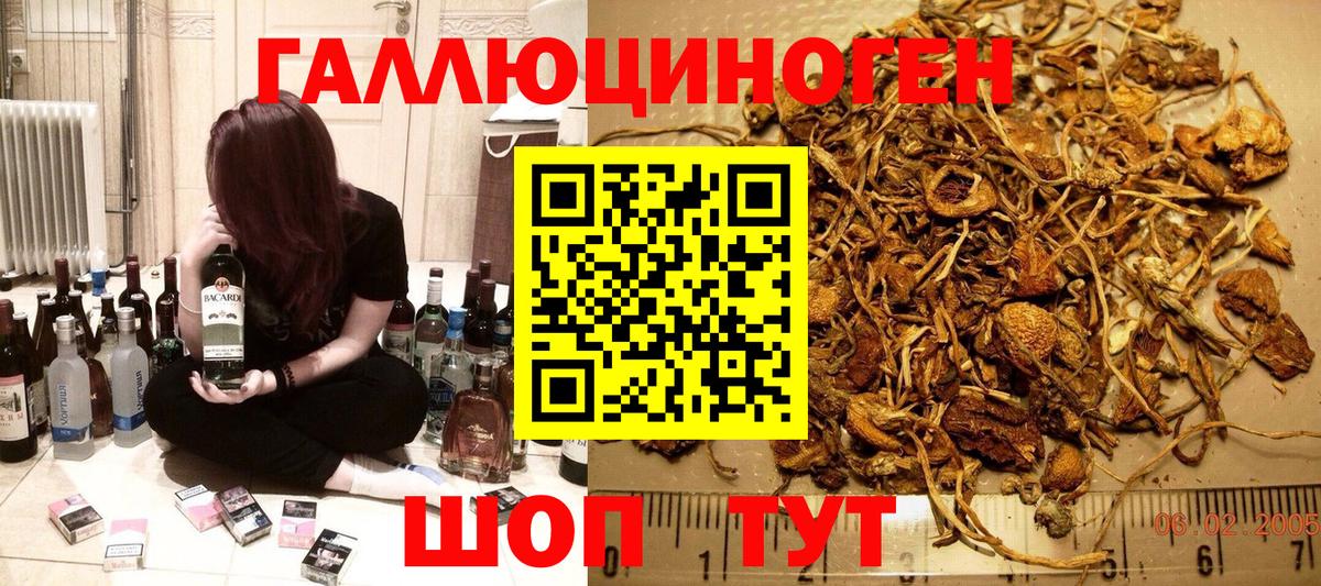 Назрань  Галлюциногенные грибы мухоморы  Вход с VPN  Псилоцибиновые грибы Cubensis 